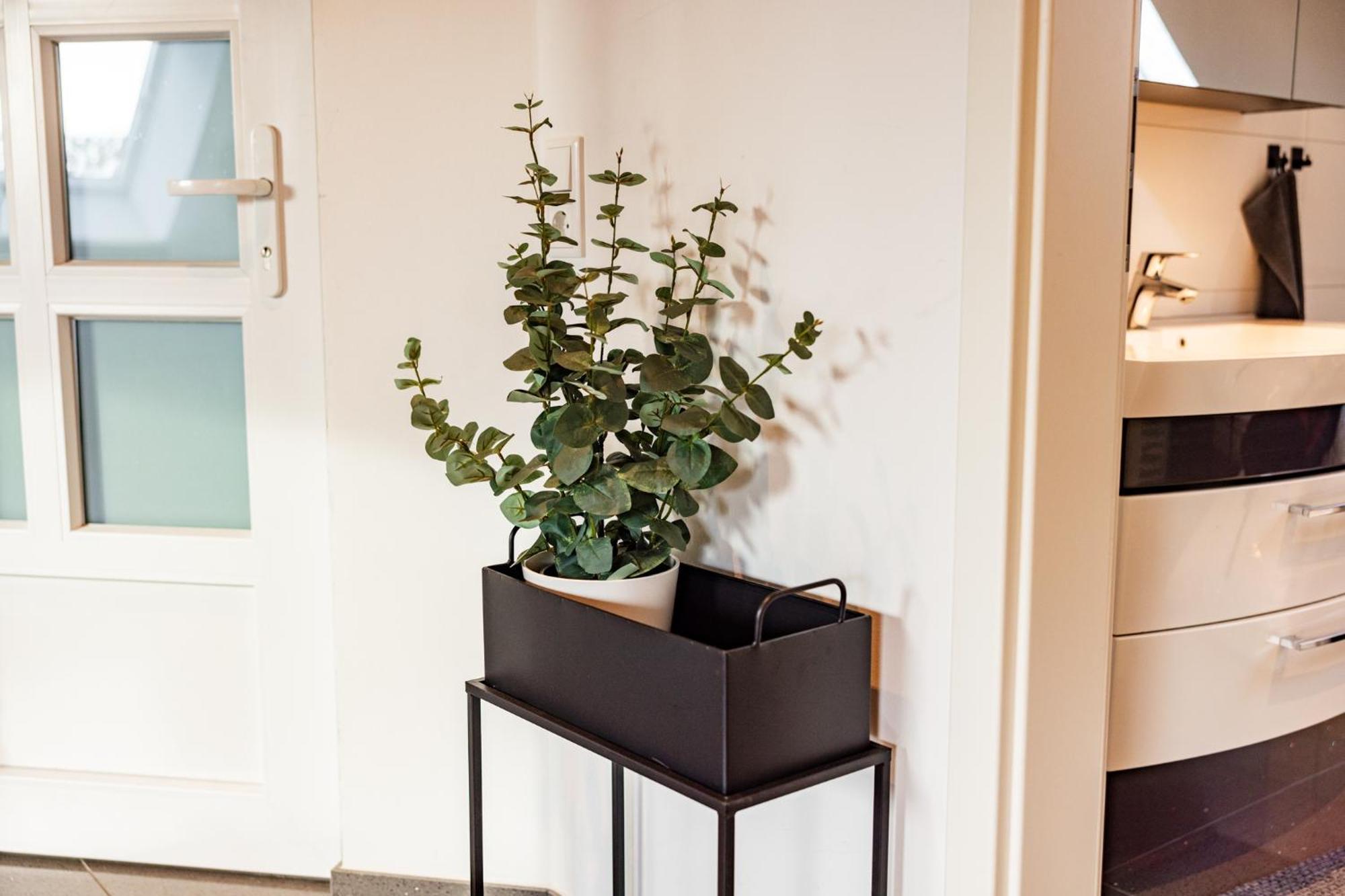 Exklusive Apartments In Kieler City Εξωτερικό φωτογραφία